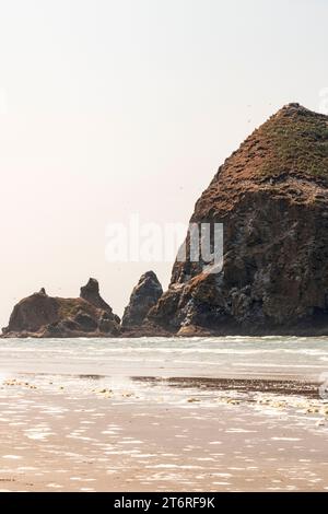 Un'immagine verticale di Haystack Rock e delle rocce circostanti a Cannon Beach, Oregon, a mezzogiorno d'estate con cielo pastello pallido. Foto Stock