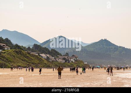 Verdi colline di alberi sempreverdi si innalzano sopra l'affollata Cannon Beach, Oregon, sotto un cielo estivo pallido. Foto Stock