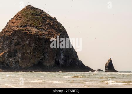 Haystack Rock a Cannon Beach, Oregon, USA in una giornata estiva con cielo limpido. Foto Stock