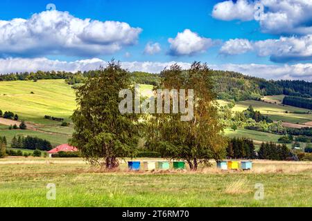 Prati alpini nei Carpazi, in Polonia. Vista di un apiario con alveari colorati. Foto Stock