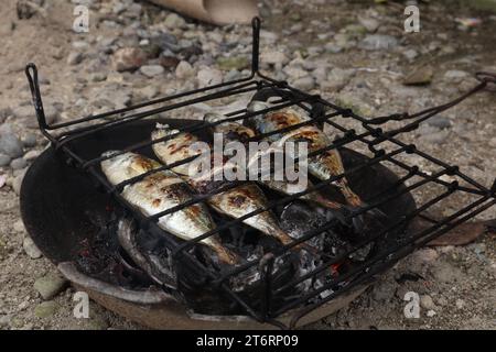 il processo di preparazione del pesce grigliato che viene bruciato su carboni di cocco Foto Stock