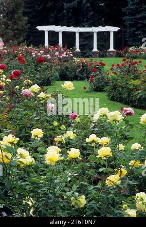 Rose Hill Garden, Manito Park, Spokane Washington Foto Stock