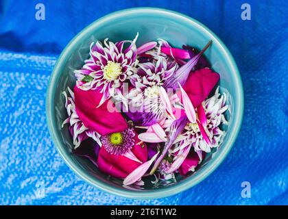 Fiori e petali rosa e viola in una ciotola turchese in ceramica poggiata su uno sfondo blu ruvido. Foto Stock