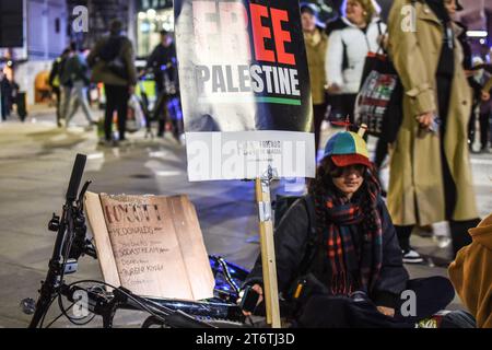 300.000 manifestanti pro-palestinesi hanno marciato per chiedere un cessate il fuoco a Gaza, in manifestazioni che hanno coinciso con il giorno dell'armistizio. I contro-manifestanti, che includevano quelli di gruppi di estrema destra, si scontrarono con la polizia vicino al Cenotaph di Londra e a Chinatown. Ad un certo punto la marcia, organizzata dalla Palestina Solidarity Campaign, si estese dall'Hilton Hotel a Park Lane all'Ambasciata degli Stati Uniti a Nine Elms - una distanza di circa 2,5 miglia. Gli organizzatori credono che abbiano partecipato 800.000 persone, ma la polizia ha stimato 300.000. Foto Stock