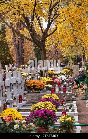 Fiori di crisantemo e candele votive sulle tombe il giorno di tutti i Santi al cimitero di San Lorenzo a Breslavia, bassa Slesia, Polonia Foto Stock