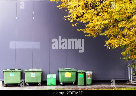 I contenitori per rifiuti verdi sono collocati su una parete grigia e su un lato il fogliame giallo dell'albero Foto Stock