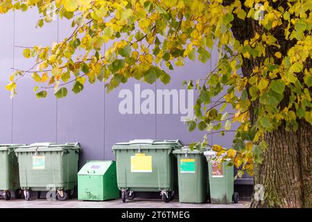 I contenitori per rifiuti verdi sono collocati su una parete grigia e su un lato il fogliame giallo dell'albero Foto Stock