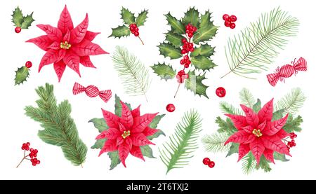 Collezione natalizia con fiori di poinsettia, rami holly, bacche, pino, abete rosso, caramelle al caramello. Il clipart delle vacanze per il nuovo anno, Natale Foto Stock