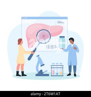 Studio della malattia epatica, illustrazione del vettore epatologico. Cartoni animati piccoli epatologi con lente di ingrandimento ricerca anatomia grafico infografico con fegato, persone che analizzano il rapporto di salute per la diagnosi Illustrazione Vettoriale