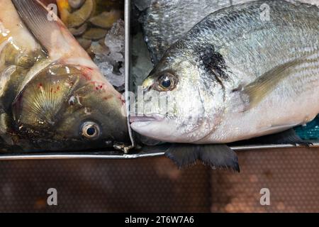 Il pesce intero congelato si trova in bidoni di ghiaccio rasati e viene offerto in vendita al Machane Yehuda, il tradizionale mercato alimentare all'aperto di Gerusalemme. Foto Stock