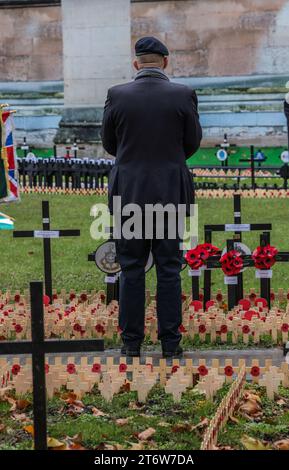 Londra Regno Unito 12 novembre 2023 giornata commemorativa della ricorrenza celebrata negli stati membri del Commonwealth dalla fine della prima guerra mondiale per onorare i membri delle forze armate morti . Londra .UK Paul Quezada-Neiman/Alamy Live News Foto Stock