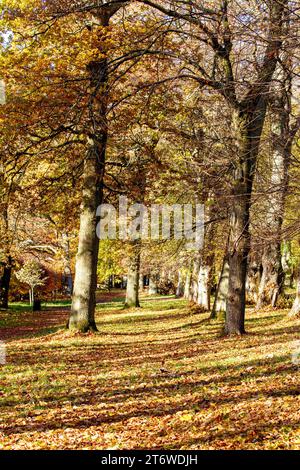 Dundee, Tayside, Scozia, Regno Unito. 12 novembre 2023. Tempo nel Regno Unito: Bellissime scene autunnali al Dundee Camperdown Country Park in Scozia. Crediti: Dundee Photographics/Alamy Live News Foto Stock