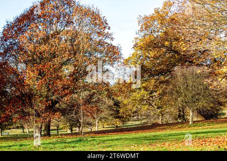 Dundee, Tayside, Scozia, Regno Unito. 12 novembre 2023. Tempo nel Regno Unito: Bellissime scene autunnali al Dundee Camperdown Country Park in Scozia. Crediti: Dundee Photographics/Alamy Live News Foto Stock