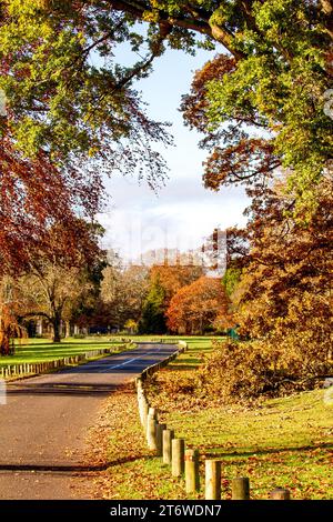 Dundee, Tayside, Scozia, Regno Unito. 12 novembre 2023. Tempo nel Regno Unito: Bellissime scene autunnali al Dundee Camperdown Country Park in Scozia. Crediti: Dundee Photographics/Alamy Live News Foto Stock