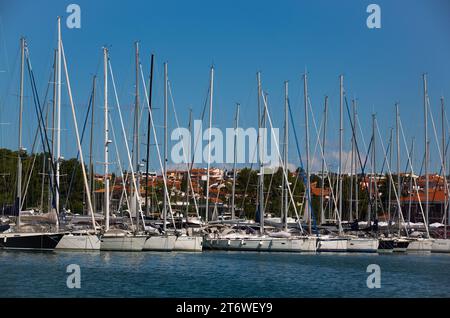 Barche a vela, Marina Nautica, Novigrad, Croazia Foto Stock