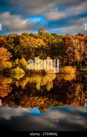 Riflessi mozzafiato delle foglie autunnali nelle acque ferme del lago artificiale Swinsty nel North Yorkshire, Regno Unito. Foto Stock