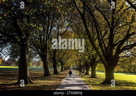 Una passeggiata pedonale attraverso Jesus Green, Cambridge, Inghilterra Foto Stock