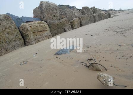 Pezzi di filo d'acciaio incastrati nella sabbia, strappati da potenti onde da Tank Block Flood Defences, Hemsby Gap, Hemsby Beach.17 settembre 2023. Foto Stock