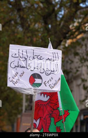 Messaggi di sostegno su cartelli e cartelli alla marcia pro Palestina nel centro di Cardiff, sabato 11 novembre 2023 Foto Stock