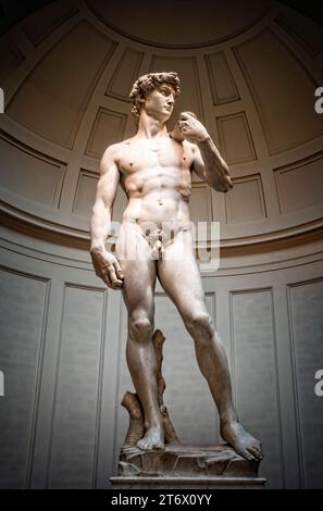 Il David di Michelangelo in mostra alla Galleria dell' Accadamia in Firenze, Italia. Foto Stock