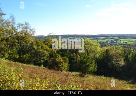 Escursione sulla North Downs Way tra Kemsing e Heaverham nell'estate indiana di fine ottobre 2023, Kent, Inghilterra, Regno Unito. Vista sul Greensand Ridge Foto Stock