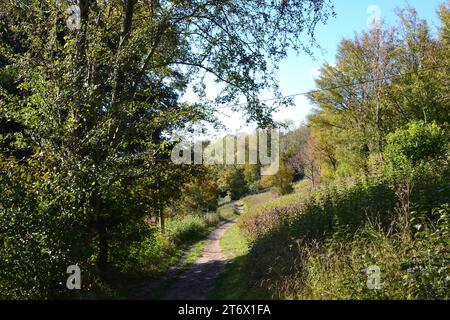 Escursione sulla North Downs Way tra Kemsing e Heaverham nell'estate indiana di fine ottobre 2023, Kent, Inghilterra, Regno Unito. Vista sul Greensand Ridge Foto Stock