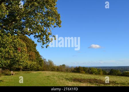 Escursione sulla North Downs Way tra Kemsing e Heaverham nell'estate indiana di fine ottobre 2023, Kent, Inghilterra, Regno Unito. Vista sul Greensand Ridge Foto Stock