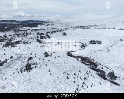 Vista invernale della riserva naturale nazionale di Abernethy Cairngoms National Park Scozia Foto Stock
