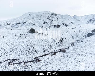 Vista invernale della riserva naturale nazionale di Abernethy Cairngoms National Park Scozia Foto Stock