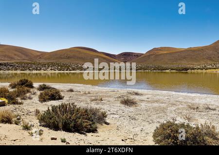 Paesaggi lunari del deserto di Atacama - Cile - San Pedro de Atacama Foto Stock