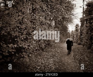 Due persone camminano su un sentiero coperto di foglie in un parco autunnale dalle tonalità seppia con alberi Foto Stock