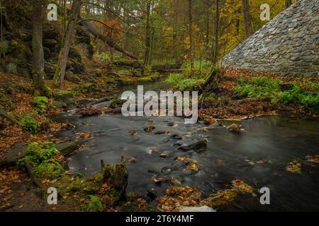 Fiume Doubrava con roccia colorata con muschio in autunno giorno piovoso vicino al villaggio di Bilek Foto Stock