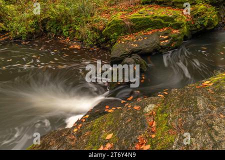 Fiume Doubrava con roccia colorata con muschio in autunno giorno piovoso vicino al villaggio di Bilek Foto Stock