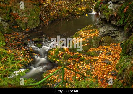 Fiume Doubrava con roccia colorata con muschio in autunno giorno piovoso vicino al villaggio di Bilek Foto Stock