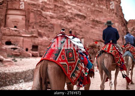I turisti in cammello cavalcano lungo il Siq Canyon ed esplorano le attrazioni della città di Petra, Giordania. Un esempio di trascorrere un fine settimana esplorando Foto Stock