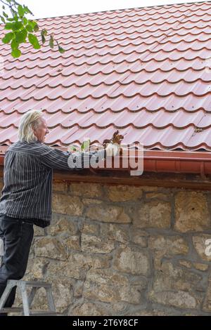 Un uomo maturo rimuove foglie e detriti dalla fossa della sua casa. Pulizia di uno scarico della pioggia. Foto Stock