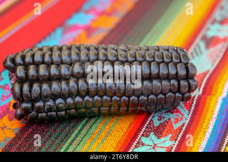 Primo piano di Maiz Morado, mais viola, Zea mays indurata, kʼculli o mais azteco nero su una tradizionale tovaglia peruviana colorata Foto Stock