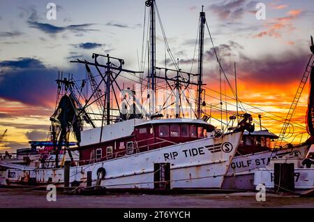 Le barche per i gamberi sono raffigurate al tramonto, 8 novembre 2023, a Bayou la Batre, Alabama. La città è conosciuta come la capitale del pesce dell'Alabama. Foto Stock