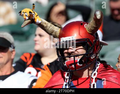 Cincinnati, Stati Uniti. 12 novembre 2023. I tifosi di football tifosi tifosi per le squadre durante la partita tra gli Houston Texans e i Cincinnati Bengals al Paycor Stadium di domenica 12 novembre 2023 a Cincinnati. Ohio. Foto di John Sommers II/UPI Credit: UPI/Alamy Live News Foto Stock