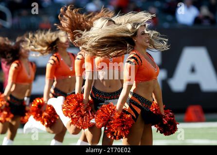 Cincinnati, Stati Uniti. 12 novembre 2023. Le cheerleaders dei Cincinnati Bengals fanno il tifo per la squadra contro gli Houston Texans durante il primo tempo di gioco al Paycor Stadium domenica 12 novembre 2023 a Cincinnati. Ohio. Foto di John Sommers II/UPI Credit: UPI/Alamy Live News Foto Stock