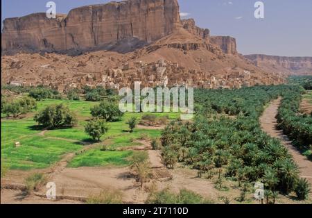 Wadi Dawan è una città e una valle desertica nello Yemen centrale. Situato nel Governatorato di Hadhramaut, è noto per i suoi edifici in mattoni di fango. Foto Stock