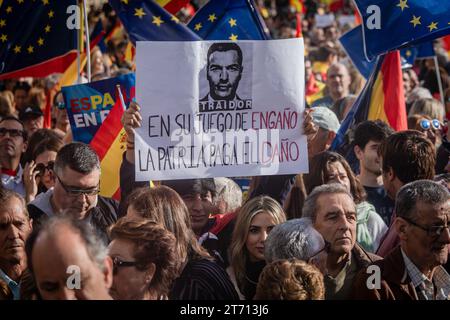 Un manifestante porta un cartello contro il presidente socialista Pedro Sanchez durante la manifestazione. La manifestazione indetta dal Partito Popolare (PP) in tutte le capitali provinciali per protestare contro una futura legge di amnistia dopo il patto PSOE con Junts e ERC ha riunito più di 80.000 persone a Madrid, secondo i dati della delegazione del governo. Il PP aumenta la cifra a un milione di partecipanti a Madrid e a circa due milioni il numero totale di persone che si sarebbero mobilitate nelle 52 province spagnole. Foto Stock