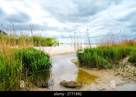 Spiaggia sul Mar Baltico vicino a Świnoujście. Foto Stock