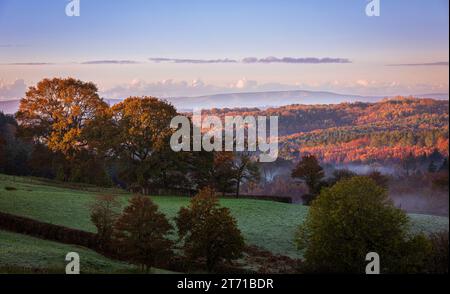 Alba autunnale sull'alto weald a sud nei pressi di Penhurst, Sussex orientale, Inghilterra sud-orientale, Regno Unito Foto Stock