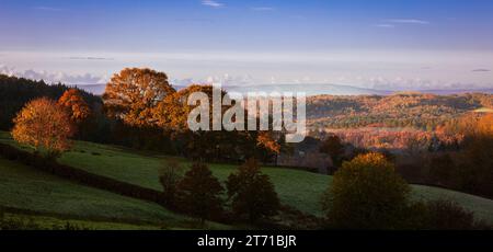Alba autunnale sull'alto weald a sud nei pressi di Penhurst, Sussex orientale, Inghilterra sud-orientale, Regno Unito Foto Stock