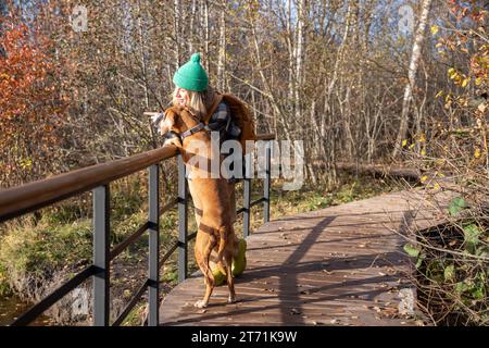 Amante degli animali domestici con un cane da compagnia in piedi sul ponte per osservare gli uccelli mentre si cammina nella pineta Foto Stock