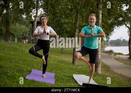 Coppie anziane che fanno esercizi di yoga all'aperto nel parco cittadino Foto Stock