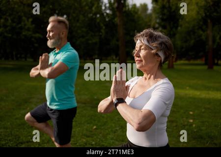 Coppia anziana attiva che fa esercizio yoga all'aperto nel parco cittadino Foto Stock