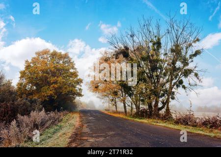 vecchia strada che attraversa la campagna in autunno. il tempo è volgare con le nuvole su un cielo blu brillante Foto Stock