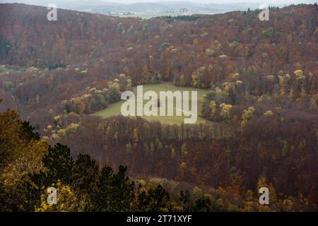 Colori forti e belli dell'autunno nei boschi di Baden Wurrtemberg in Germania. Foto Stock